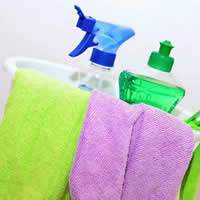 Navarro‘s  Janitorial Services